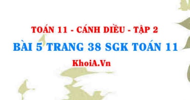 Bài 5 trang 38 Toán 11 tập 2 Cánh Diều